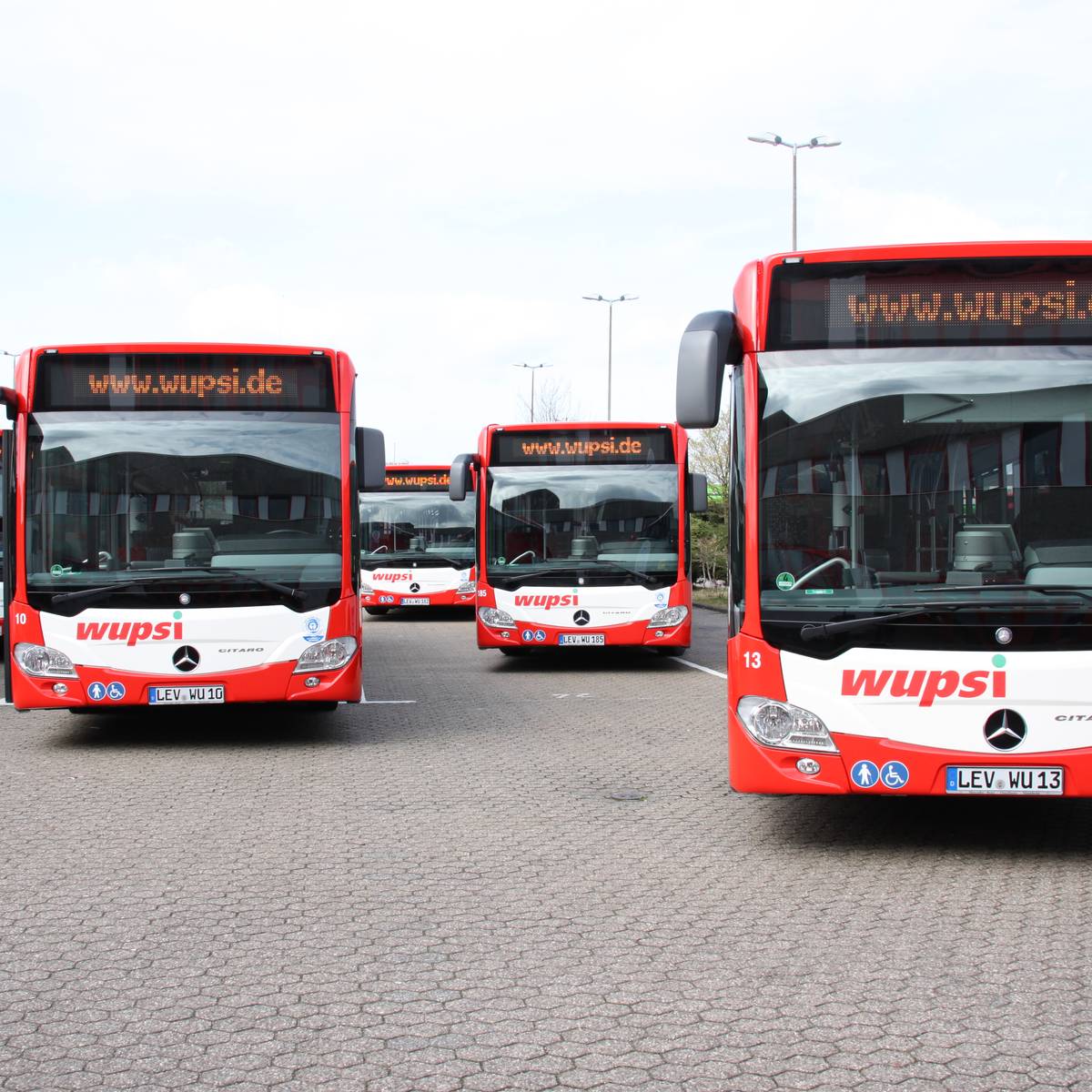 Wupsi bekommt Fördermittel vom Bund Radio Leverkusen
