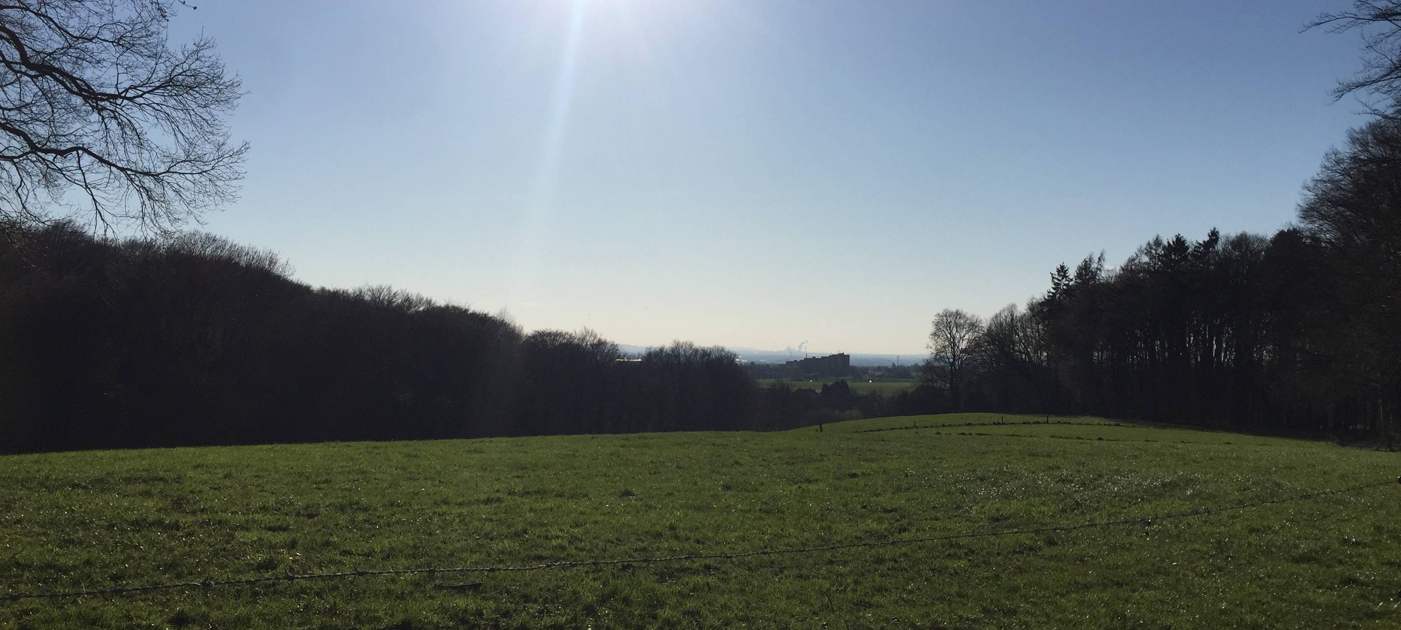 Landwirtschaft, Bauer, Feld, Wiese, Steinbüchel, Sonne