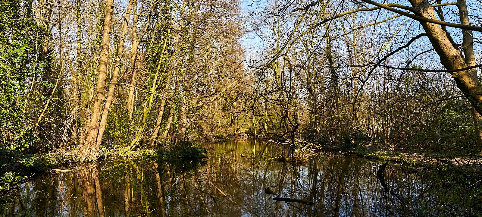 Schloss Morsbroich, Kultur, Leverkusen, Symbolbild, Fluss, Wasser, Natur, Wald