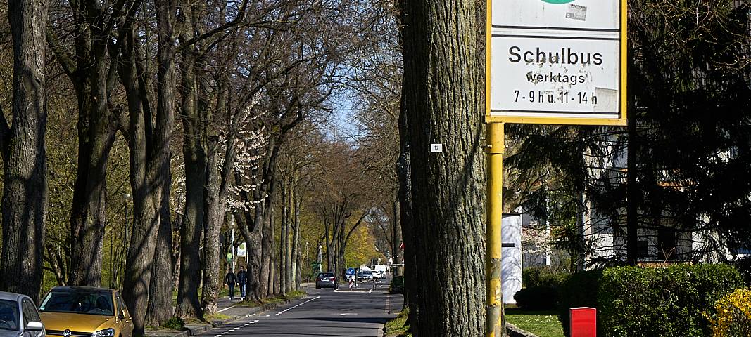 Schulbus haltestelle, Haltestelle, Schule, Bus, Schild