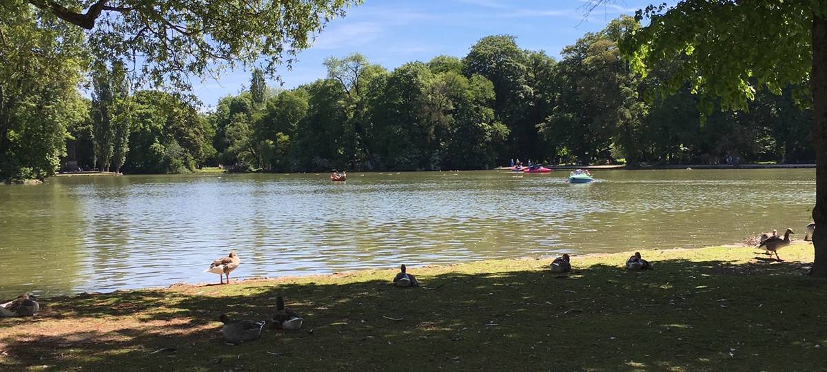 Tourismusbilanz Leverkusen: EM-Effekt bleibt aus