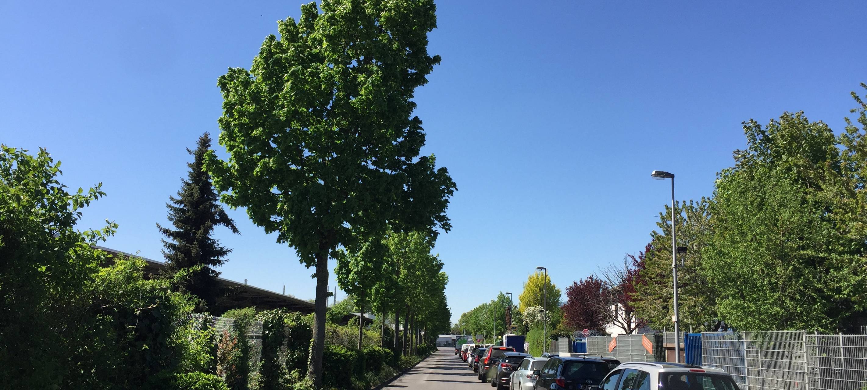 Leverkusener Rat diskutiert über Wertstoffhof