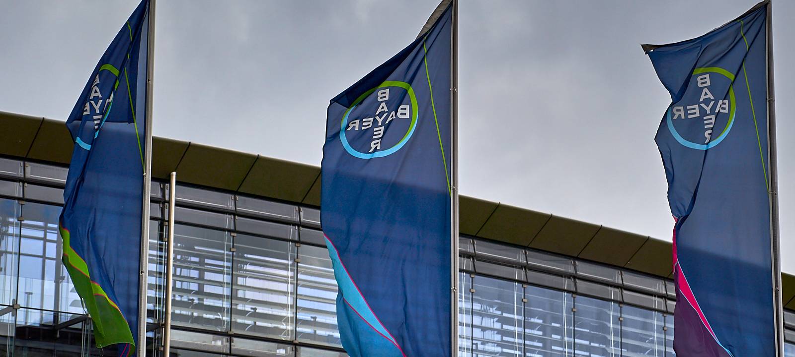 Bayer Konzernzentrale, Bayer, Symbolbild, Bayer, Fahnen