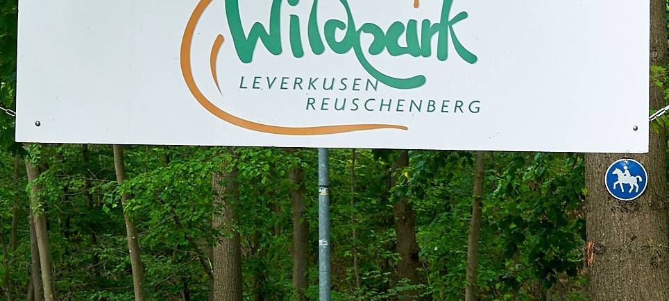 Wildpark Reuschenberg, Küppersteg, Tiere, Tierpark, Symbolbild