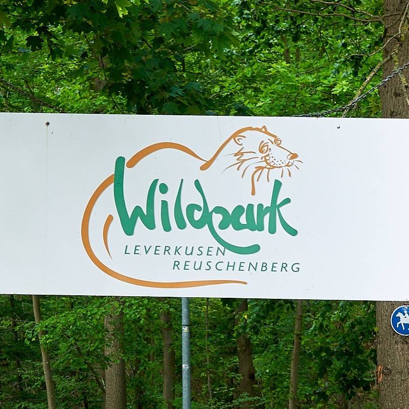 Wildpark Reuschenberg, Küppersteg, Tiere, Tierpark, Symbolbild