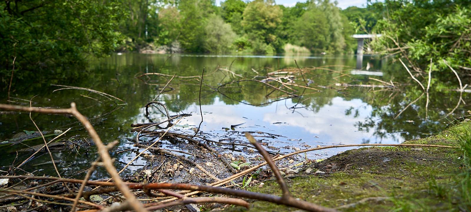 Oulusee, Natur, Schlebusch, Symbolbild, Wasser, See