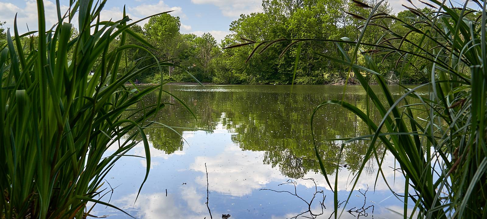 Oulusee, Natur, Schlebusch, Symbolbild, Wasser, See