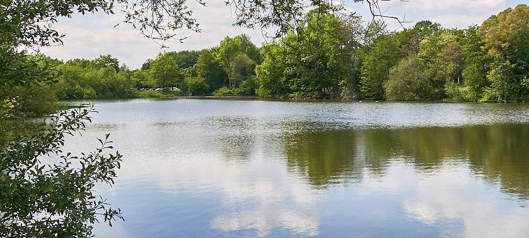 Oulusee, Natur, Schlebusch, Symbolbild, Wasser, See