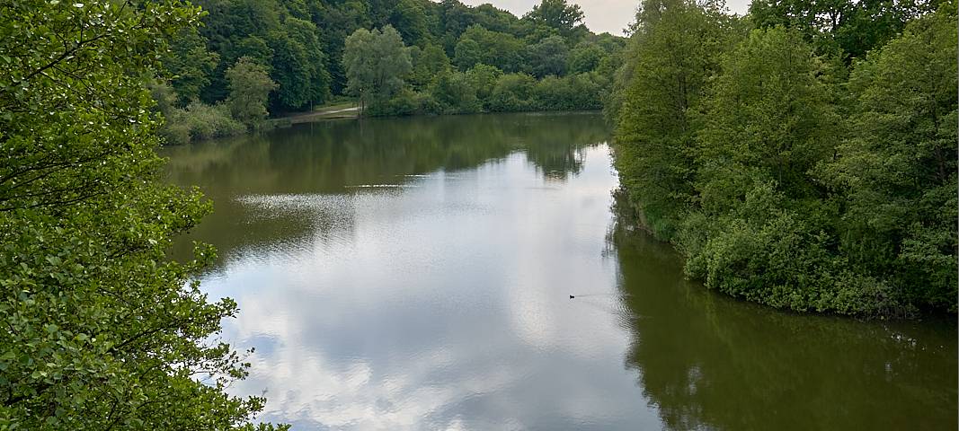 Oulusee, Natur, Schlebusch, Symbolbild, Wasser, See