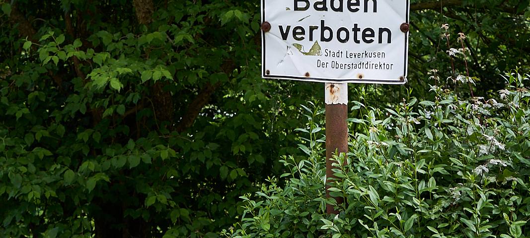 Oulusee, Natur, Schlebusch, Symbolbild, Wasser, See, Schild
