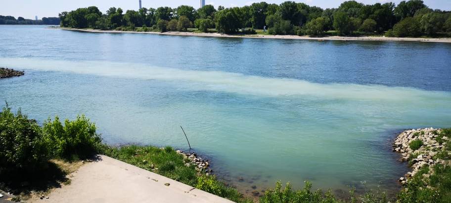 Rhein doch nicht verunreinigt