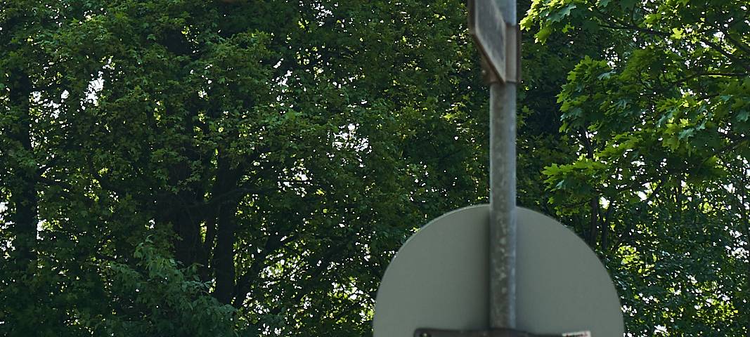 Schild Willy-Brandt-Ring, Schild, Symbolbild, Straße, Kreuzung