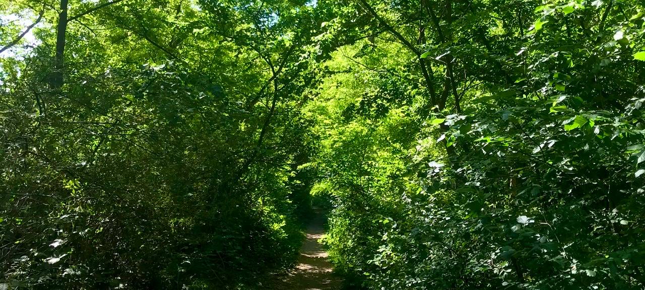 Leverkusener Böden sind "gut gesättigt"