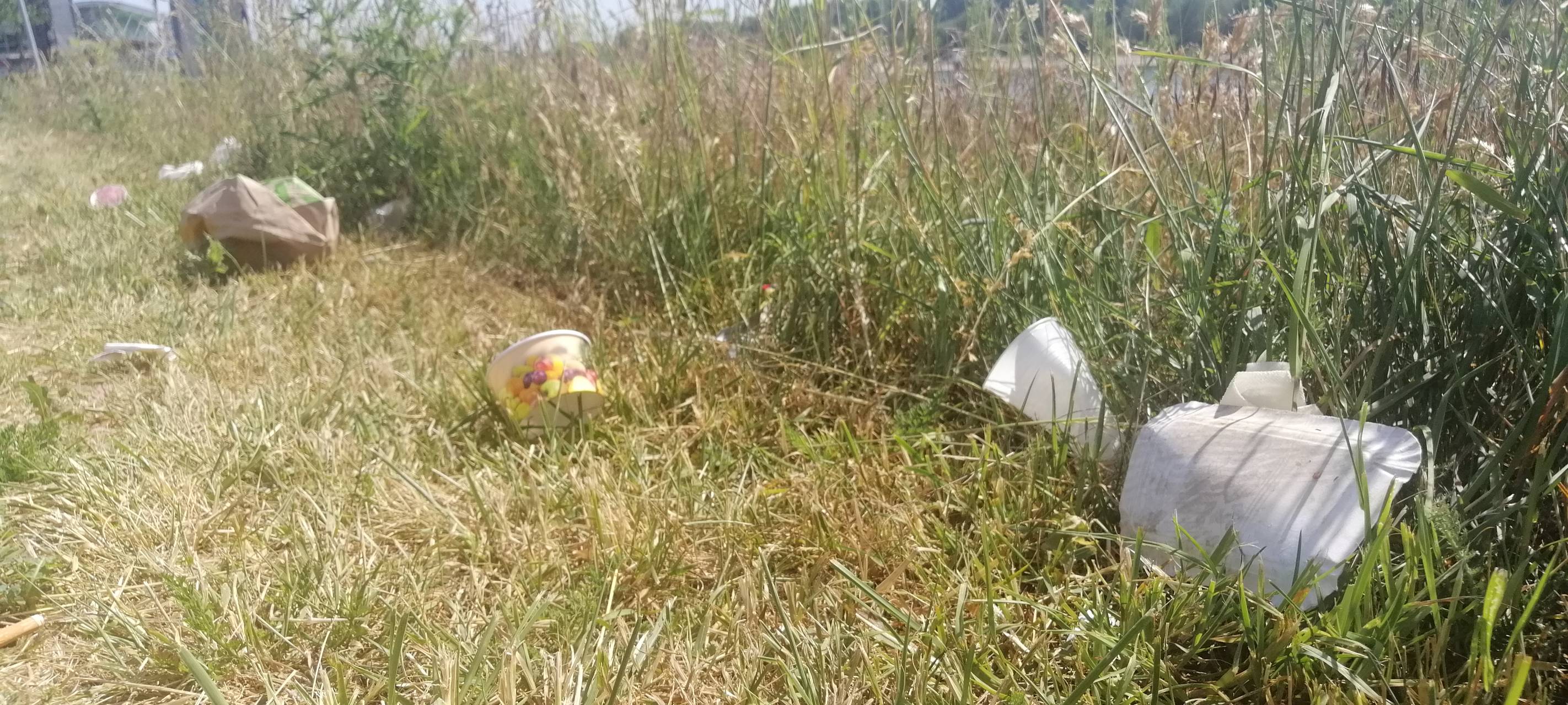 Müllsammel-Aktion am Rhein in Leverkusen