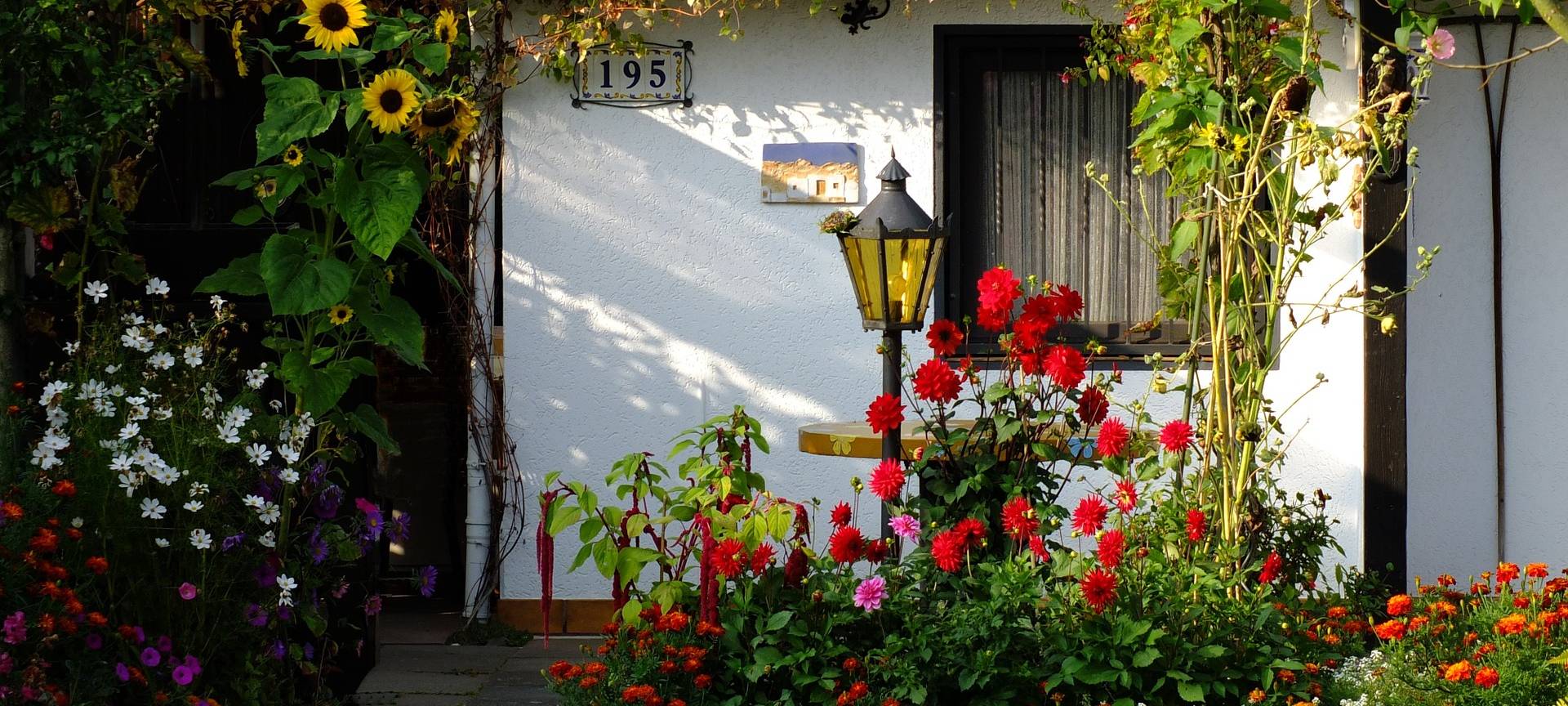 Leverkusen: Sechs Jahre warten auf den Kleingarten