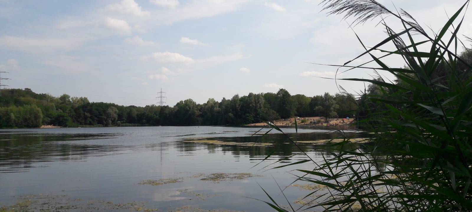 Gefahren beim Baden: Das rät die DLRG in Leverkusen