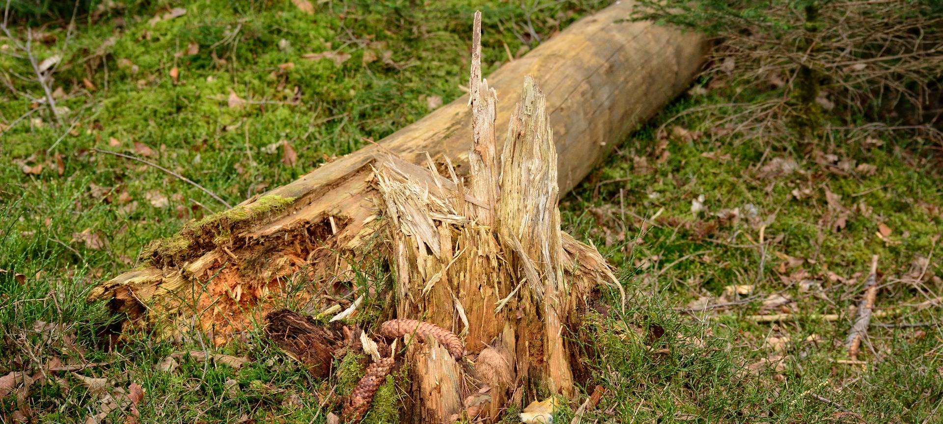 So viel kosten Wetterereignisse in Leverkusen