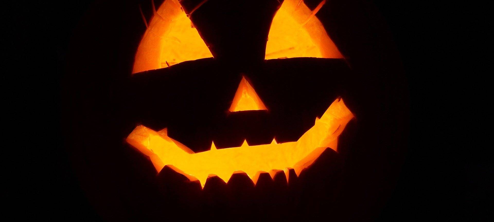 Halloween in Leverkusen: Aktion im Museum Morsbroich