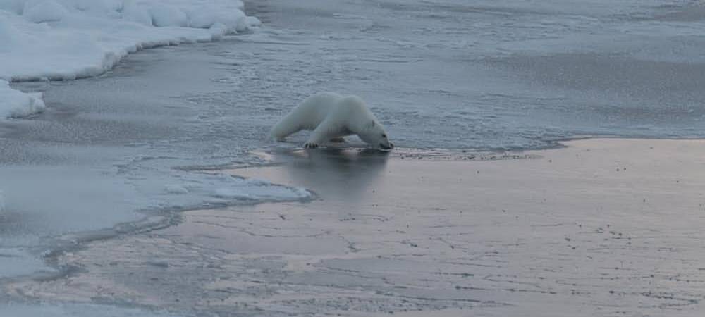 Eindrücke von der Polarstern-Expedition