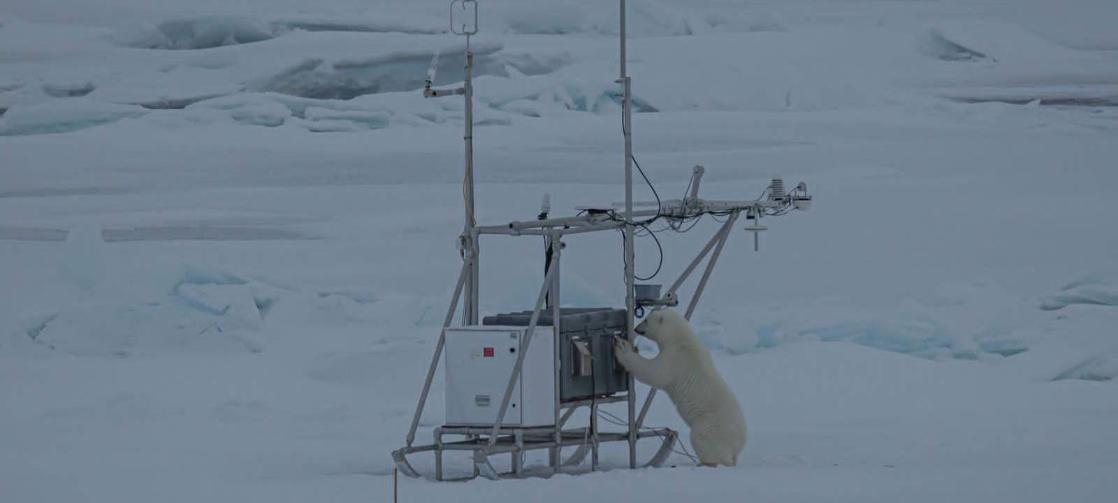 Eindrücke von der Polarstern-Expedition