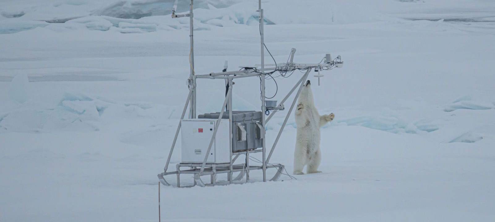 Eindrücke von der Polarstern-Expedition