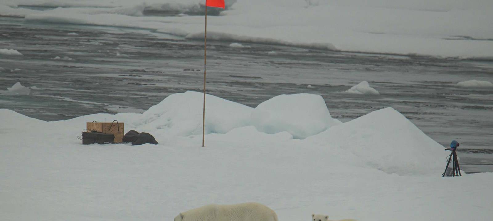 Eindrücke von der Polarstern-Expedition
