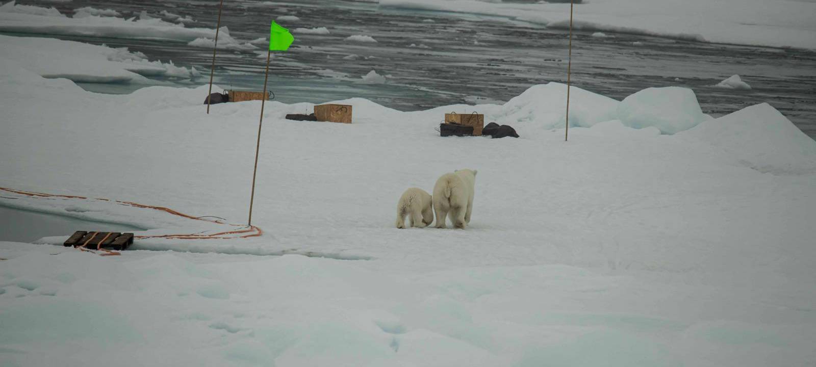 Eindrücke von der Polarstern-Expedition