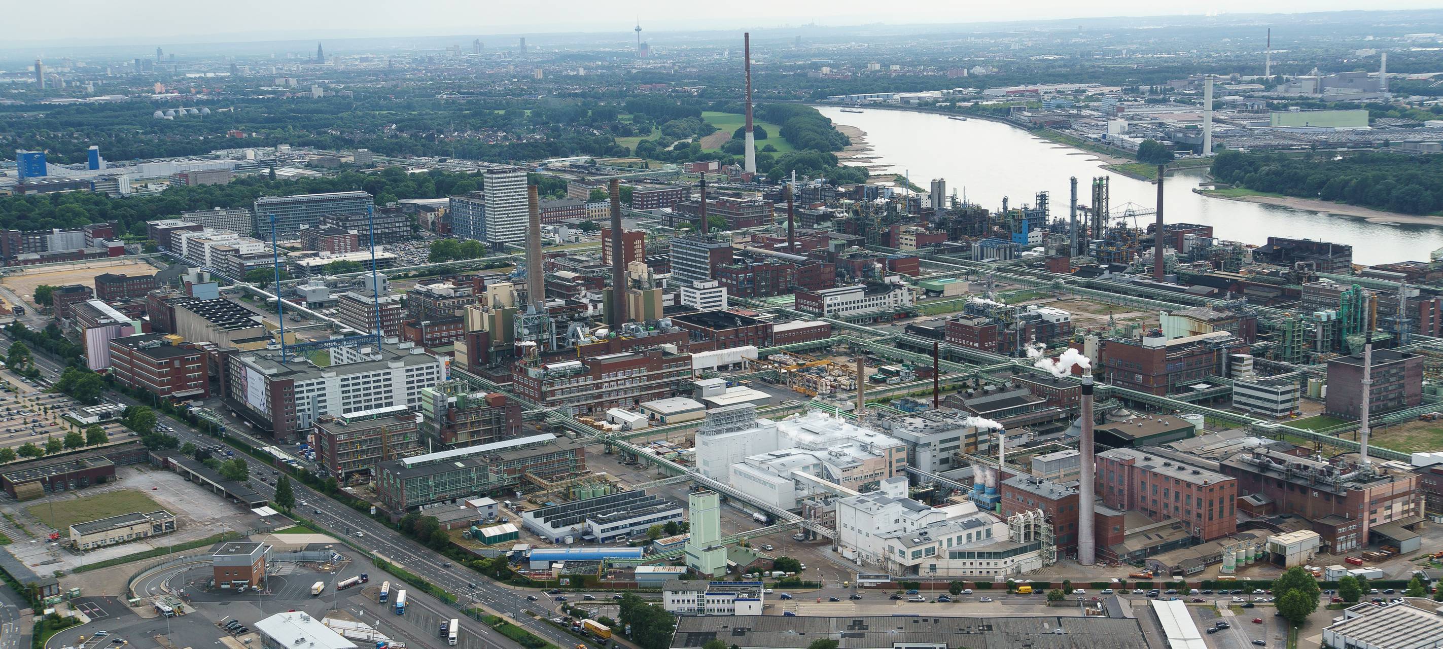 Bayer bald Übernahme-Kandidat?