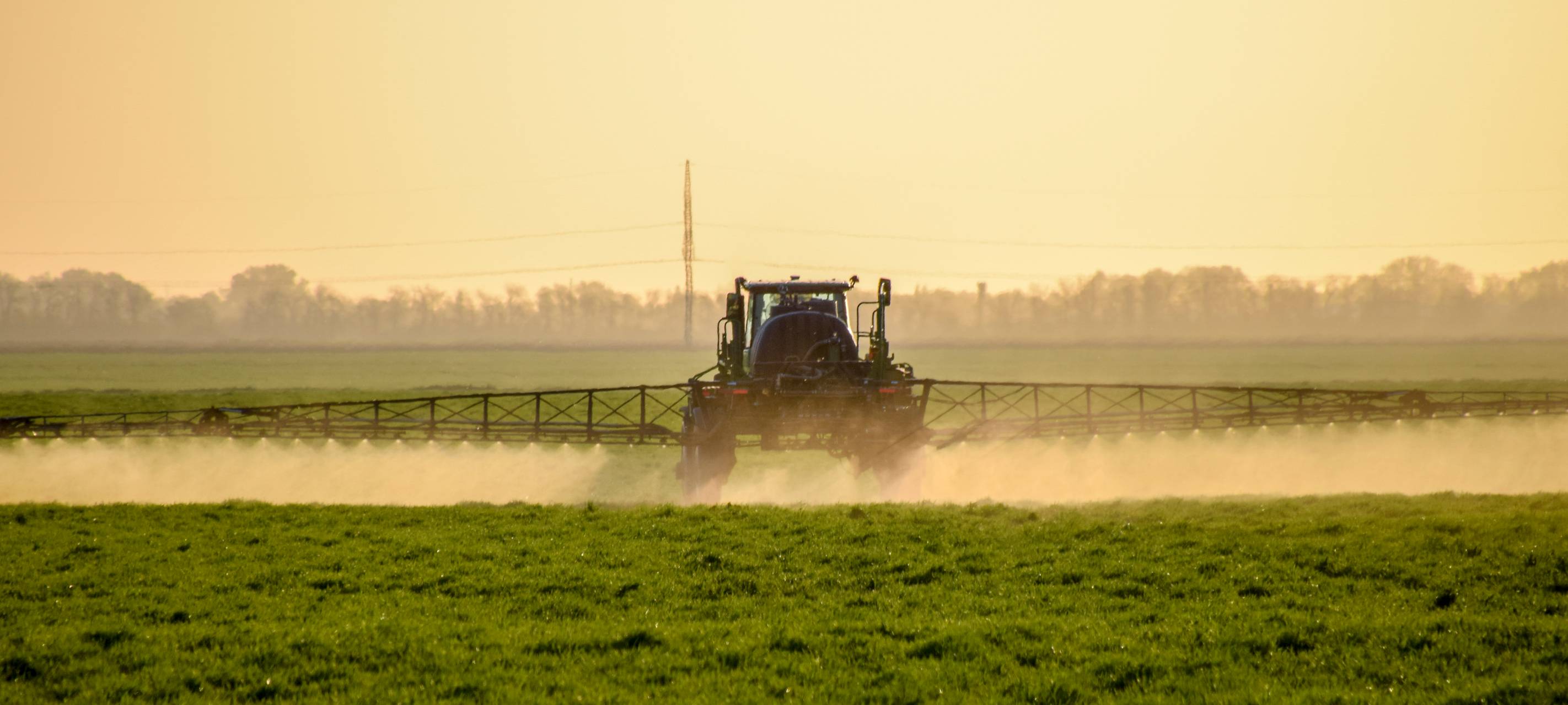 Glyphosat: Bayer könnte Rechtsstreit mit Trick beenden