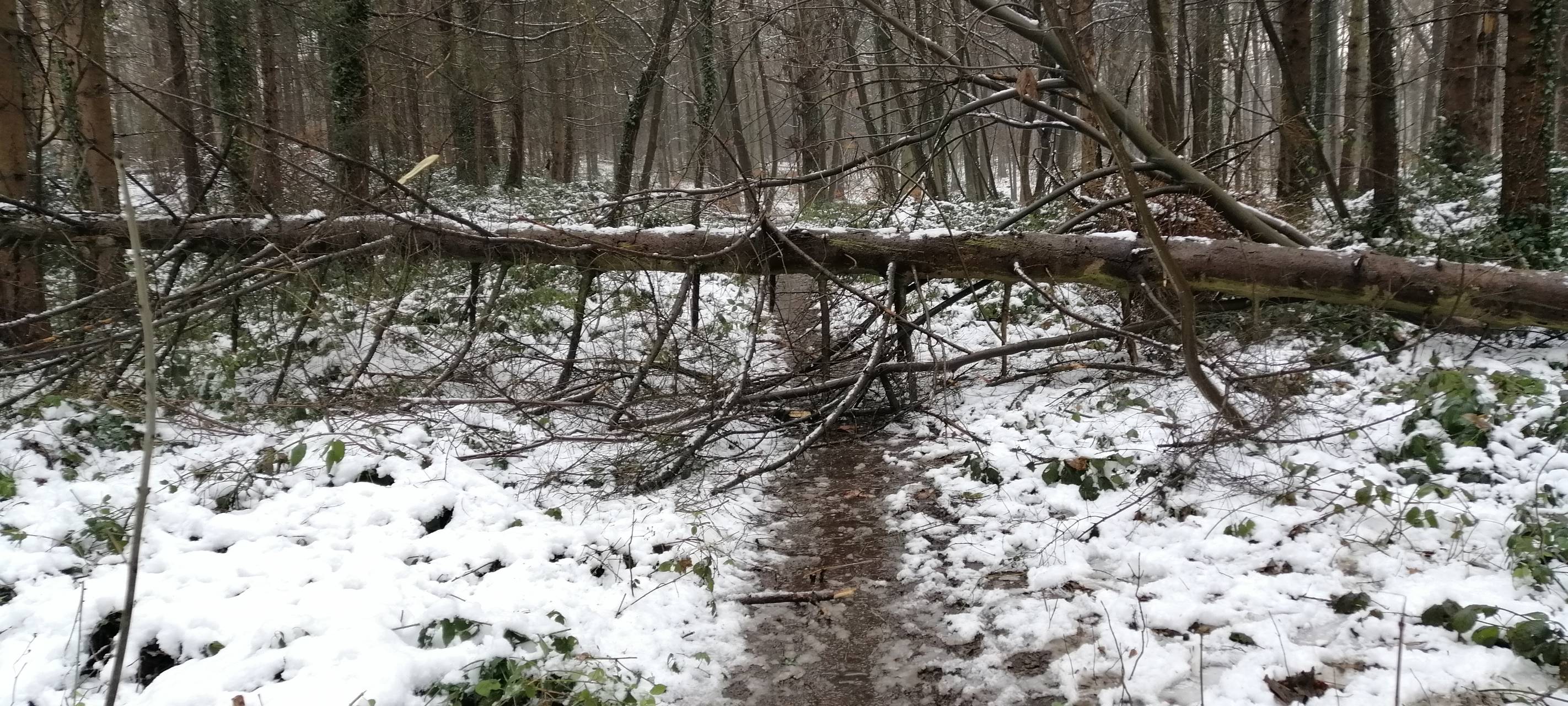 Schnee-Wochenende in Leverkusen