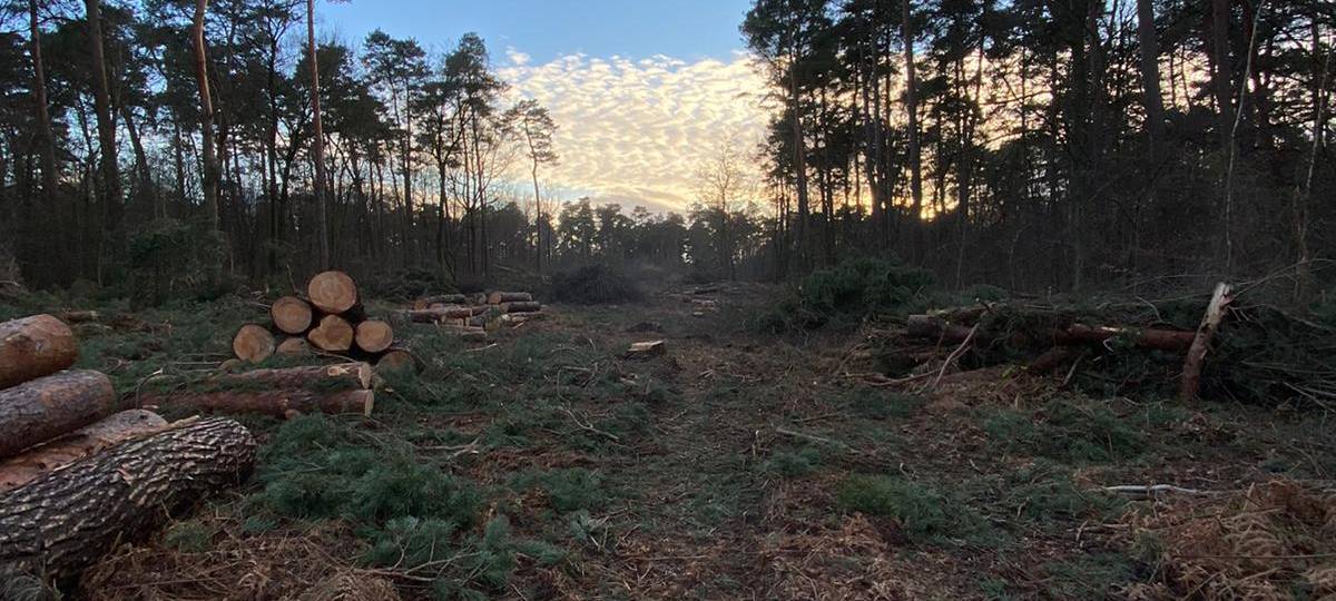 Jagd in Leverkusen im Trend