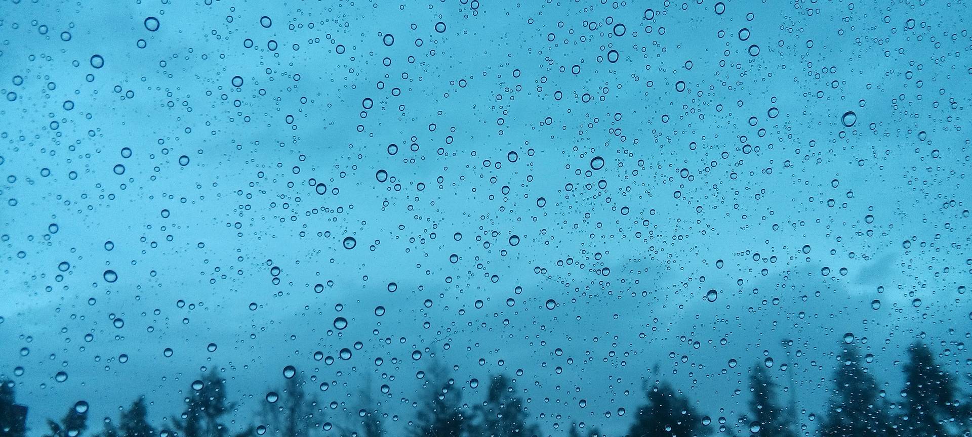 Verregneter März gibt Grund zur Freude