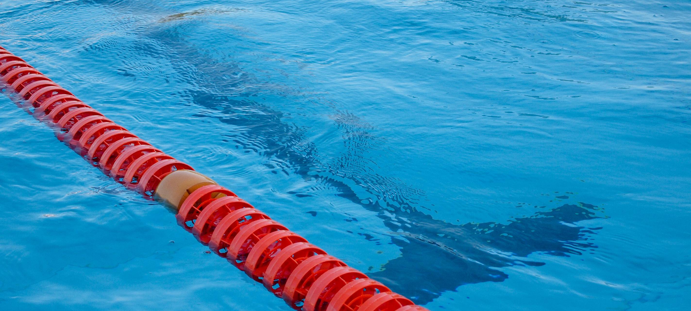 CaLevornia: Vorschläge für Freibad-Öffnung