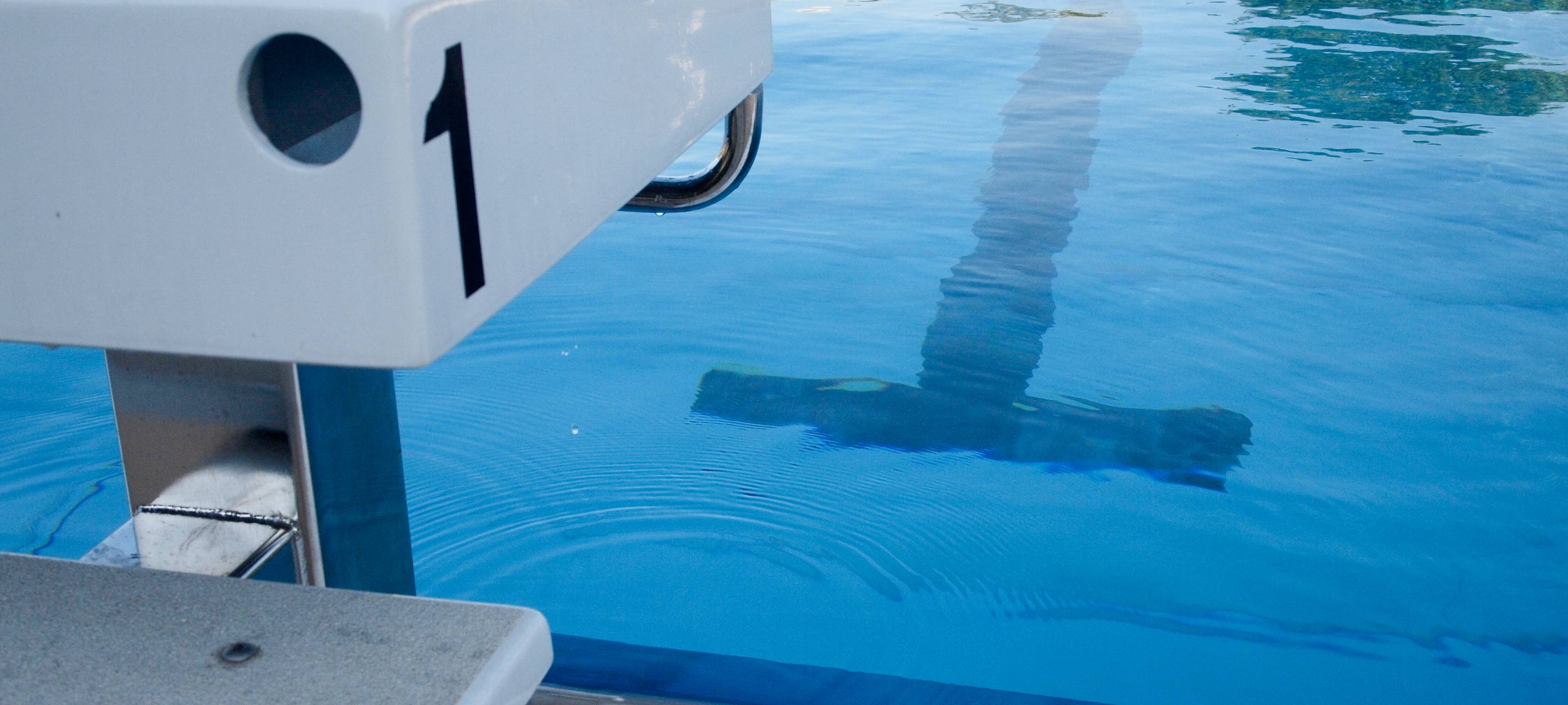 Neues Schwimmbad für Leverkusen?