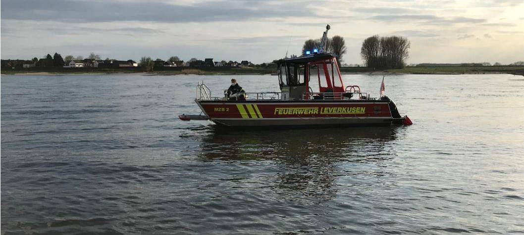 Rhein: Schwan mit Pfeil abgeschossen