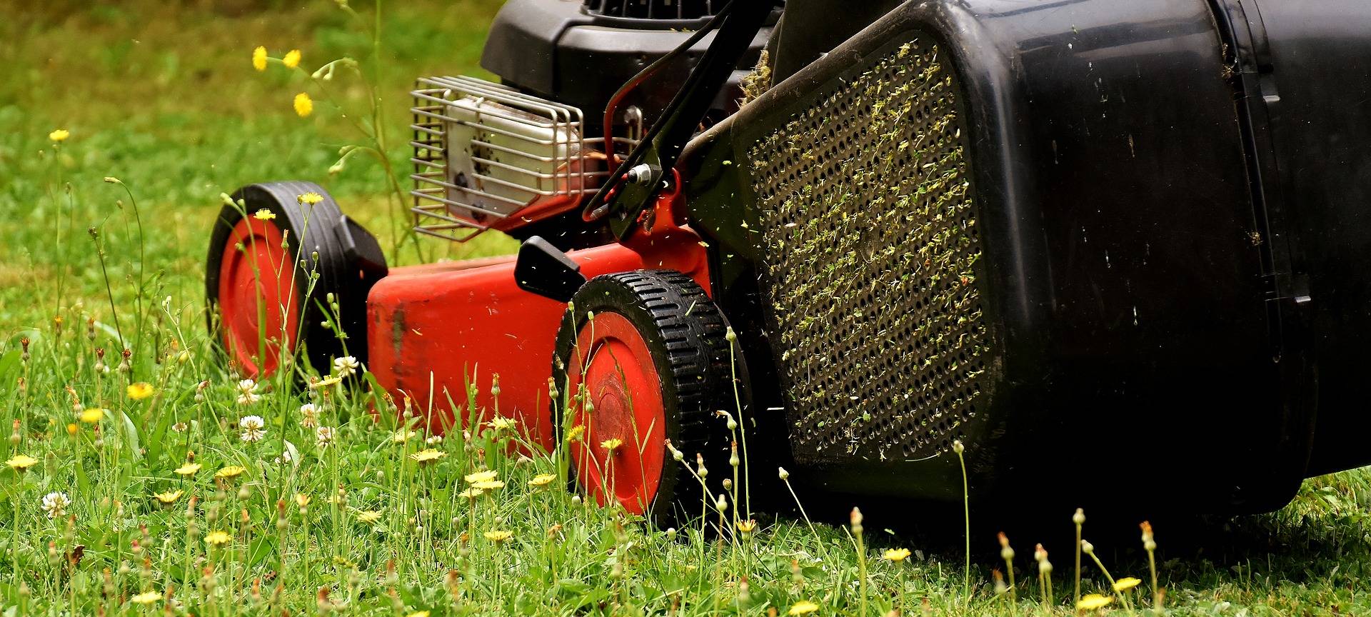 Schlebusch: Gartenlauben aufgebrochen