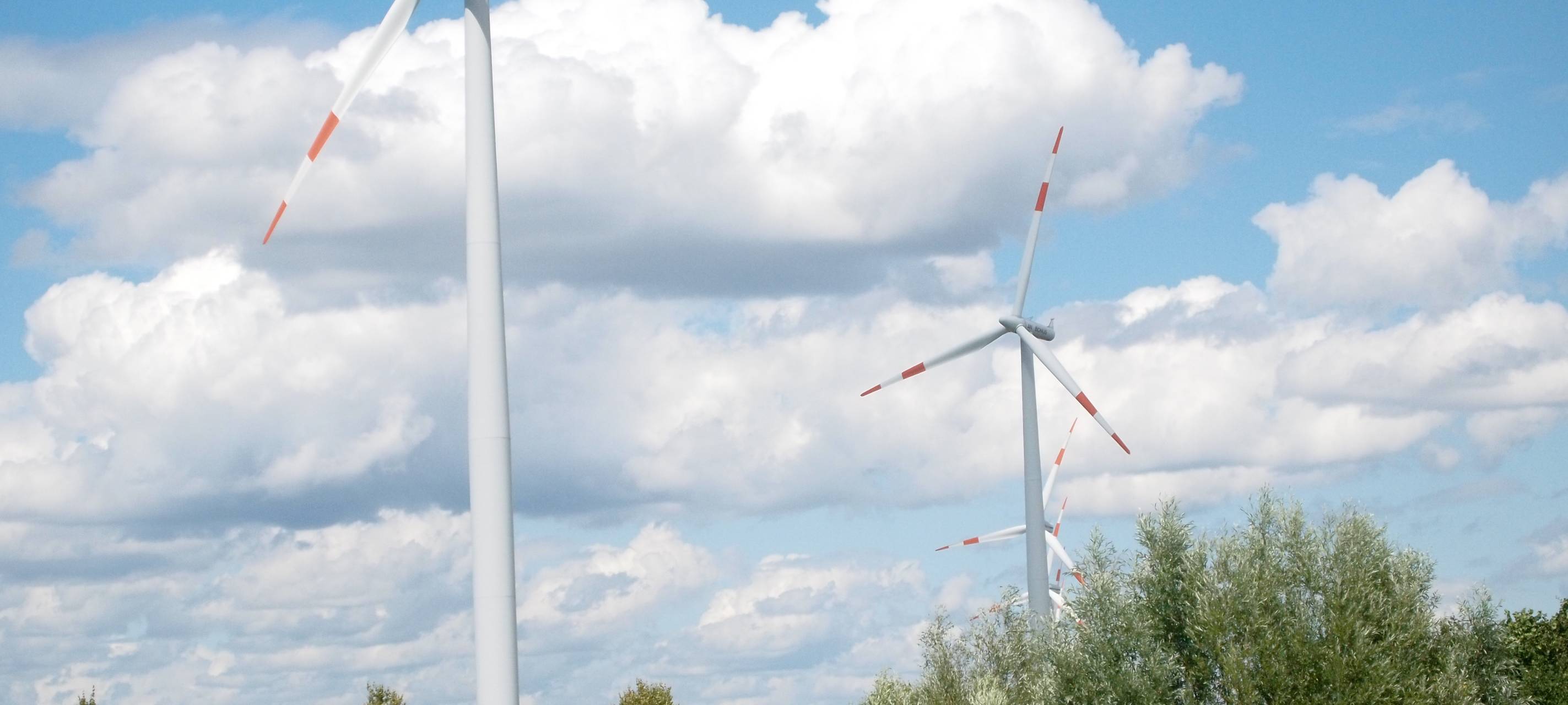 EVL begrüßt neue Regeln für Windräder