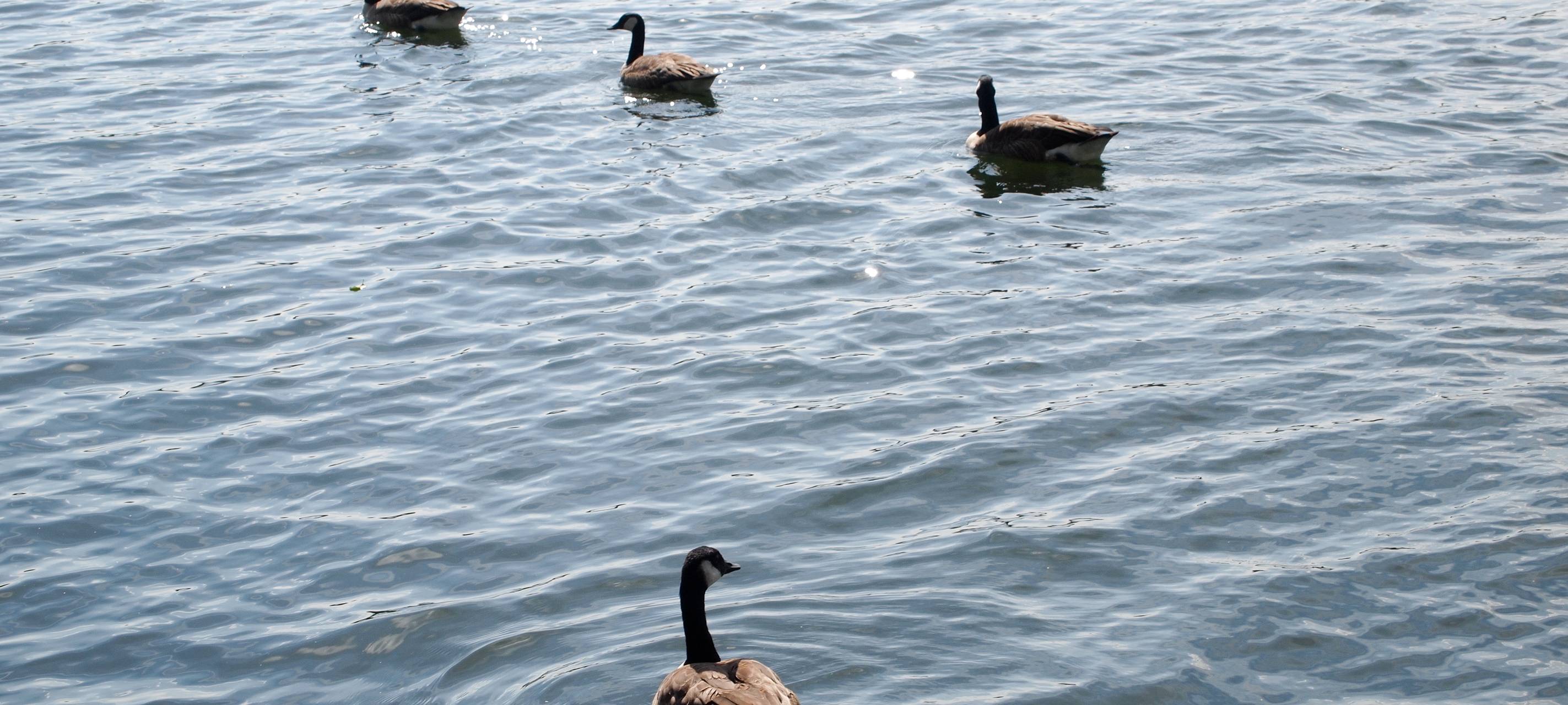 Wasservorrat große Dhünn-Talsperre