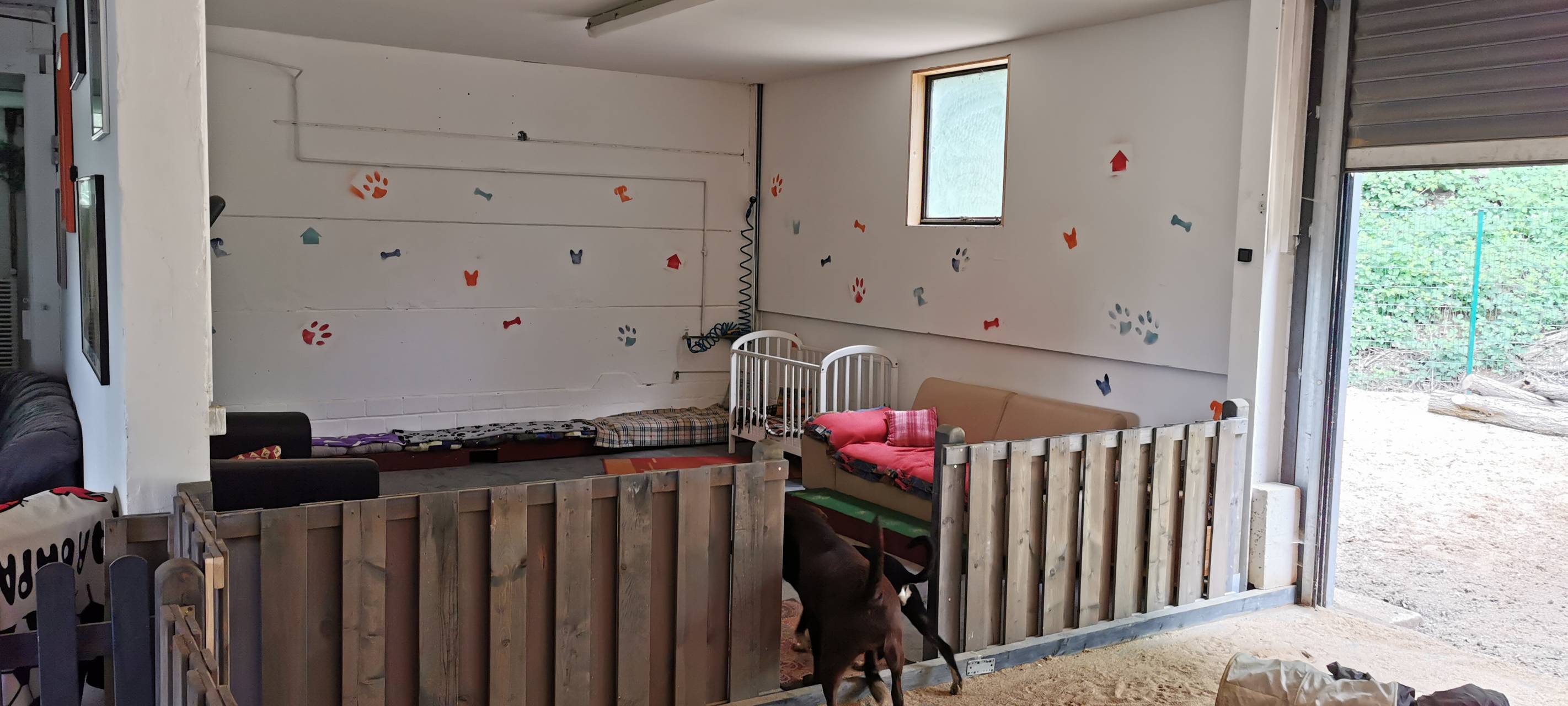 Erste Hundetageststätte in Leverkusen