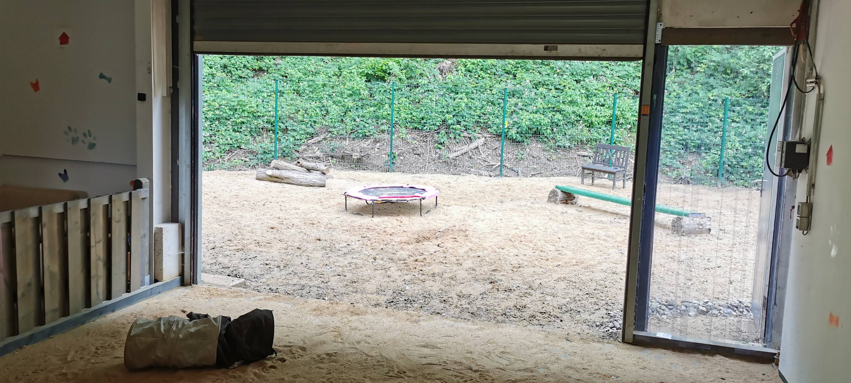 Erste Hundetageststätte in Leverkusen