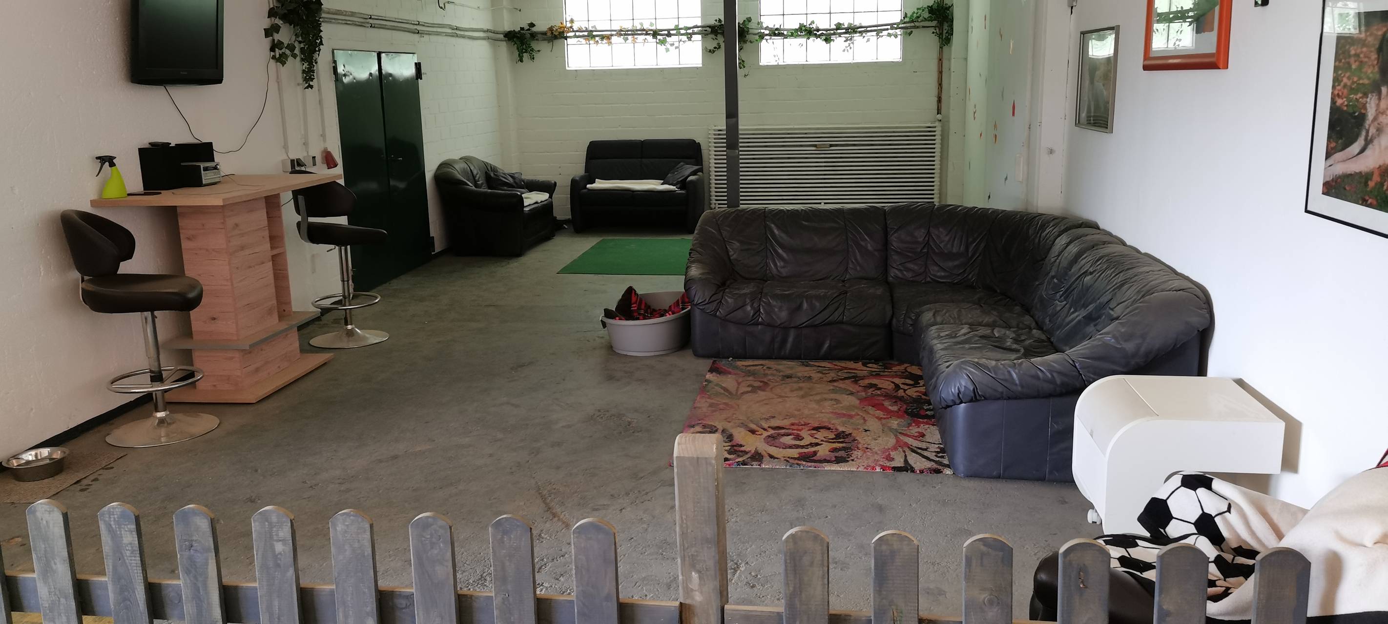 Erste Hundetageststätte in Leverkusen