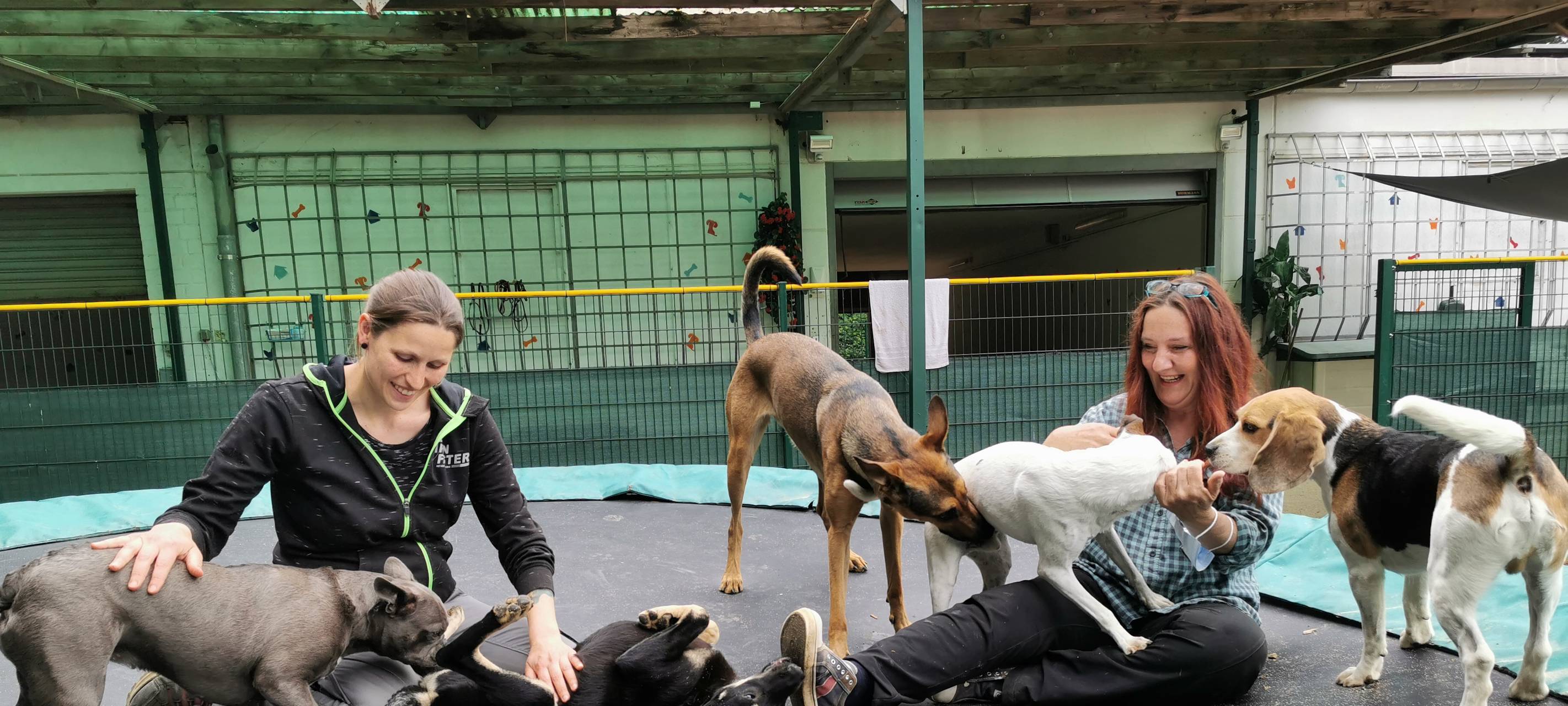 Erste Hundetageststätte in Leverkusen