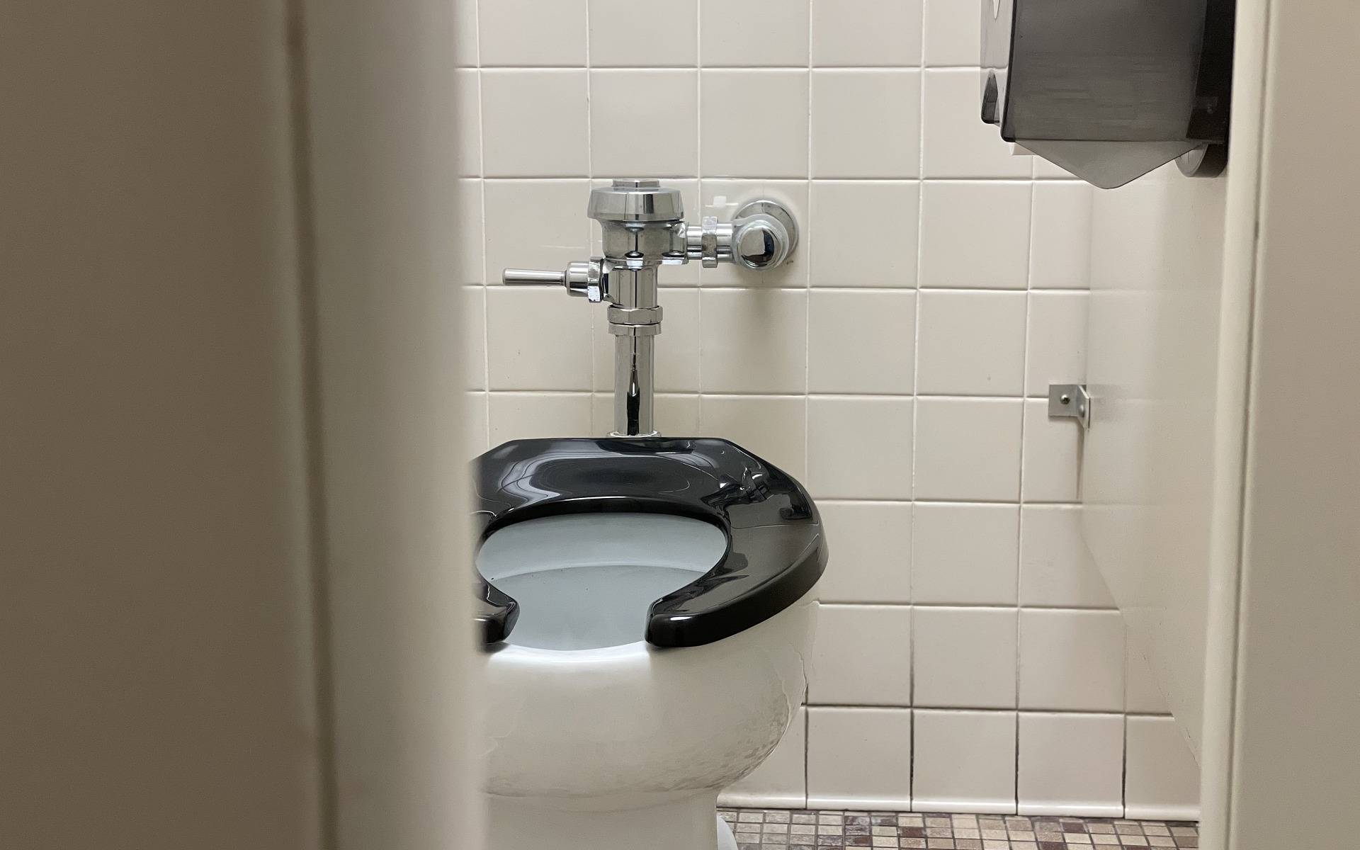 Aale in Leverkusener Kanalisation gesichtet - TBL im Einsatz