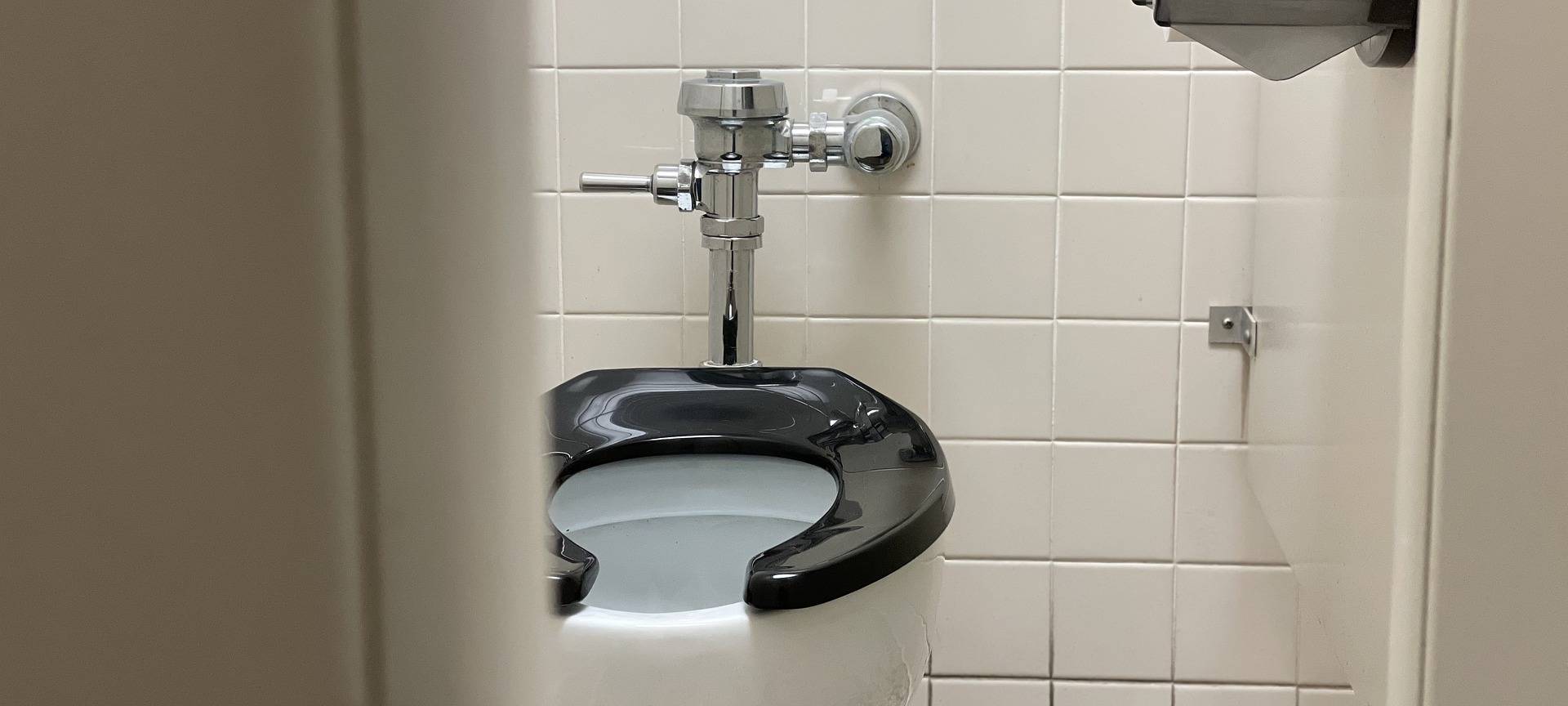 Aale in Leverkusener Kanalisation gesichtet - TBL im Einsatz