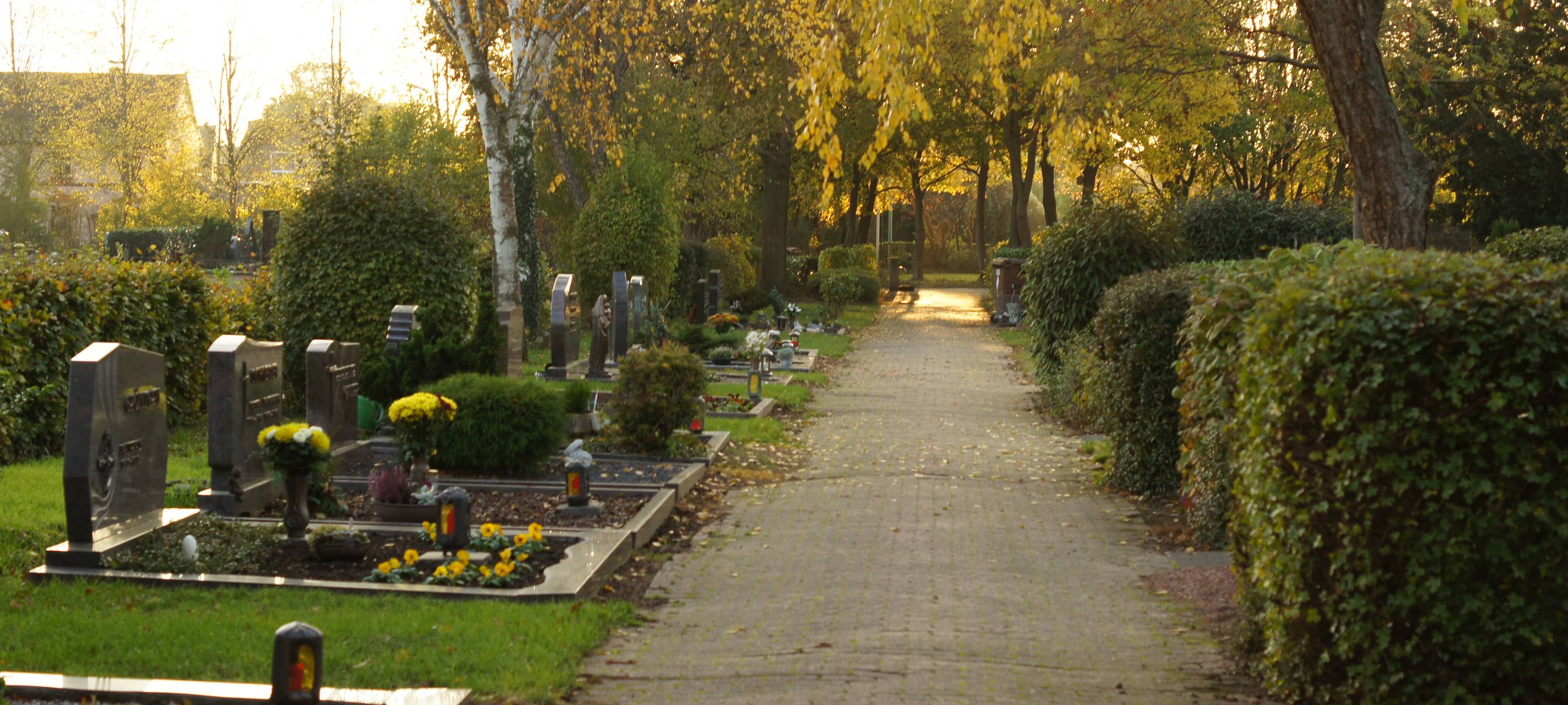 Fehler bei Gebührensatzungen: Leverkusen verliert Millionen