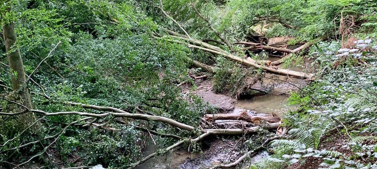 Waldwege wegen Hochwasser-Katastrophe teilweise gesperrt