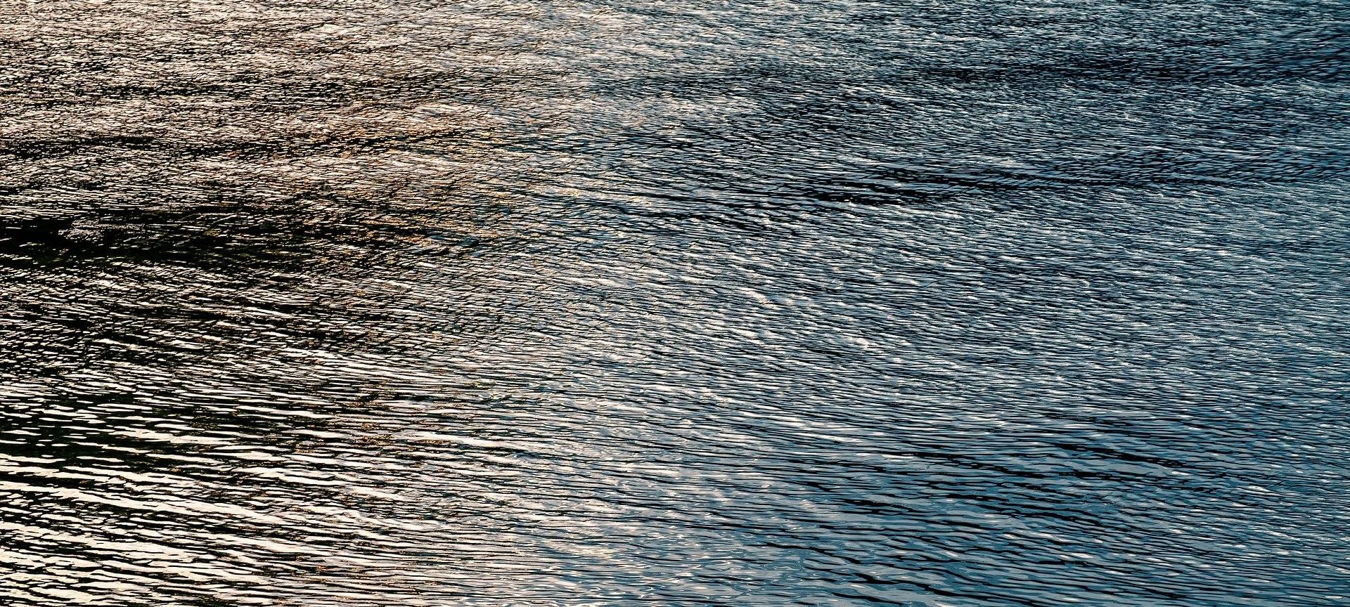 Algen im Hitdorfer See