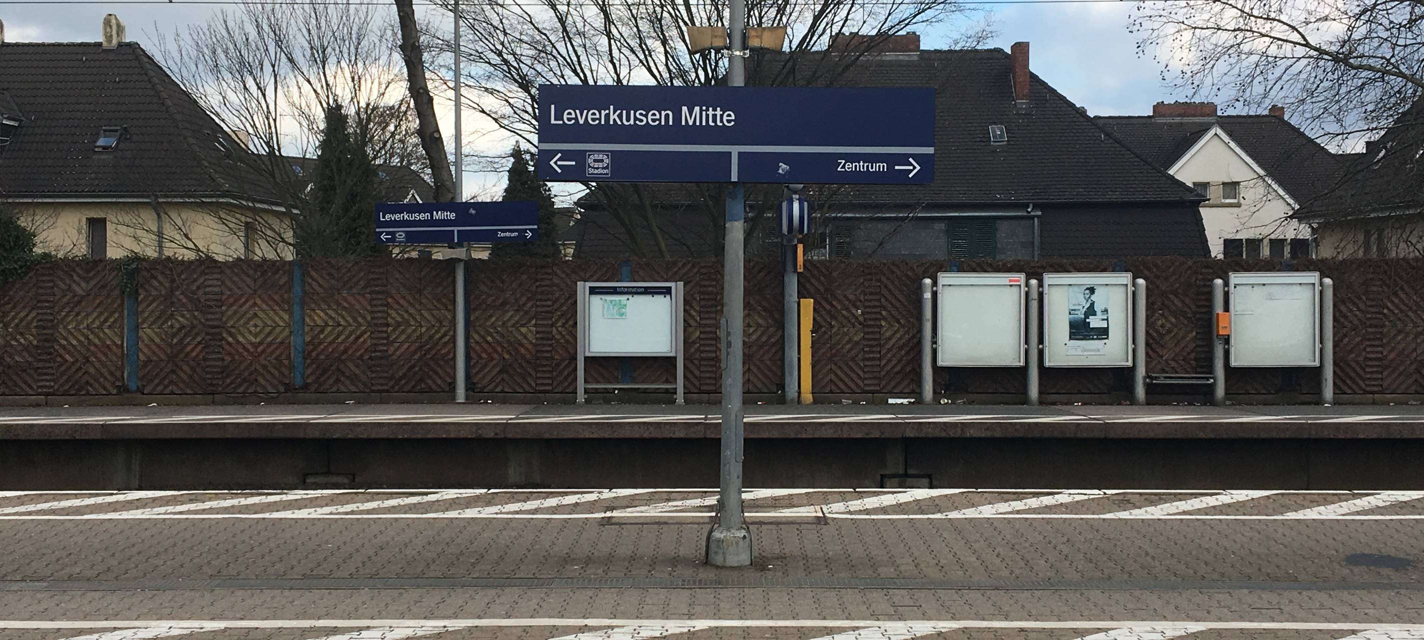 Ratten in Wiesdorf: Schädlingsbekämpfer kritisiert Stadt