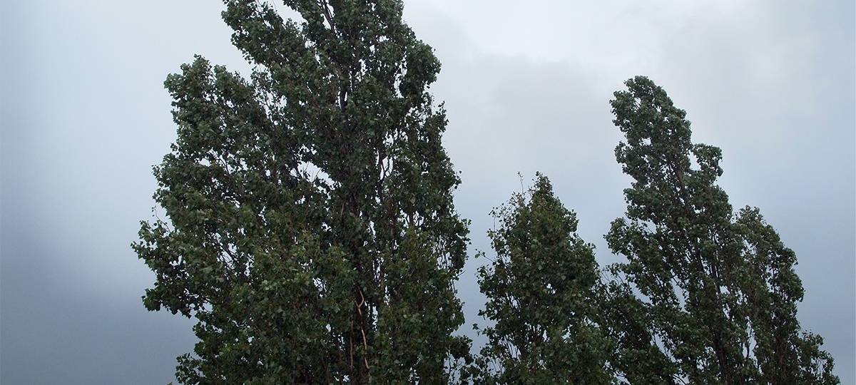 Sturm und Unwetter halten an