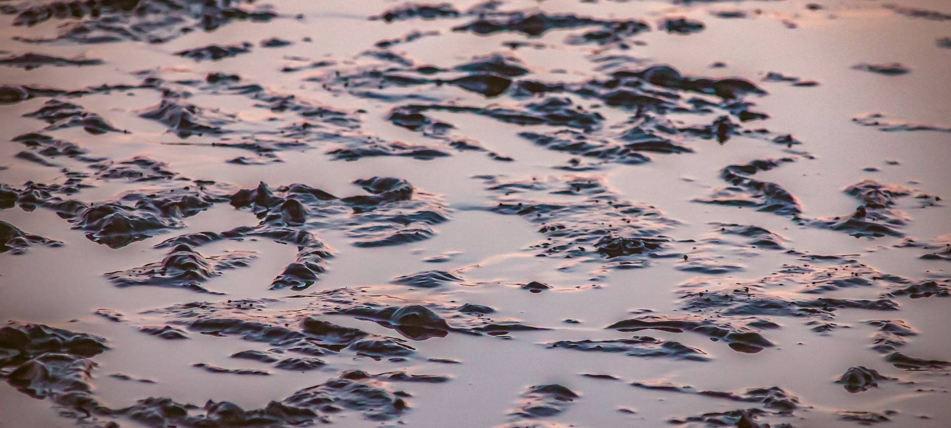 Sorge um Klärschlammgerüche in Leverkusen